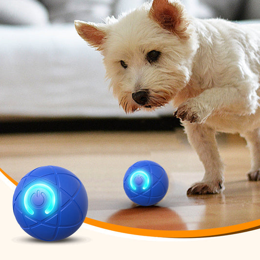 🐶O minge interactivă special concepută pentru câini.